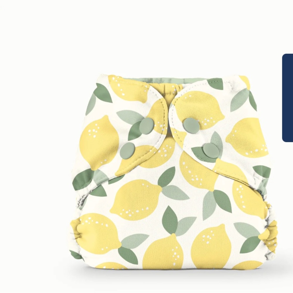 Esembly waterproof cloth diaper cover. lemons design